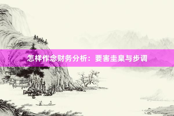 怎样作念财务分析：要害圭臬与步调